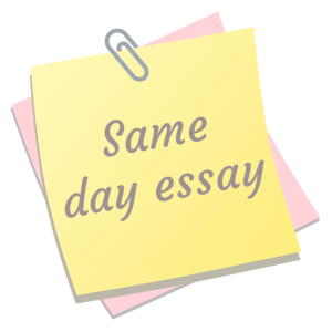 Buy online essay essay online