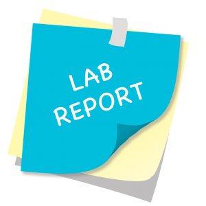 lab report writing services